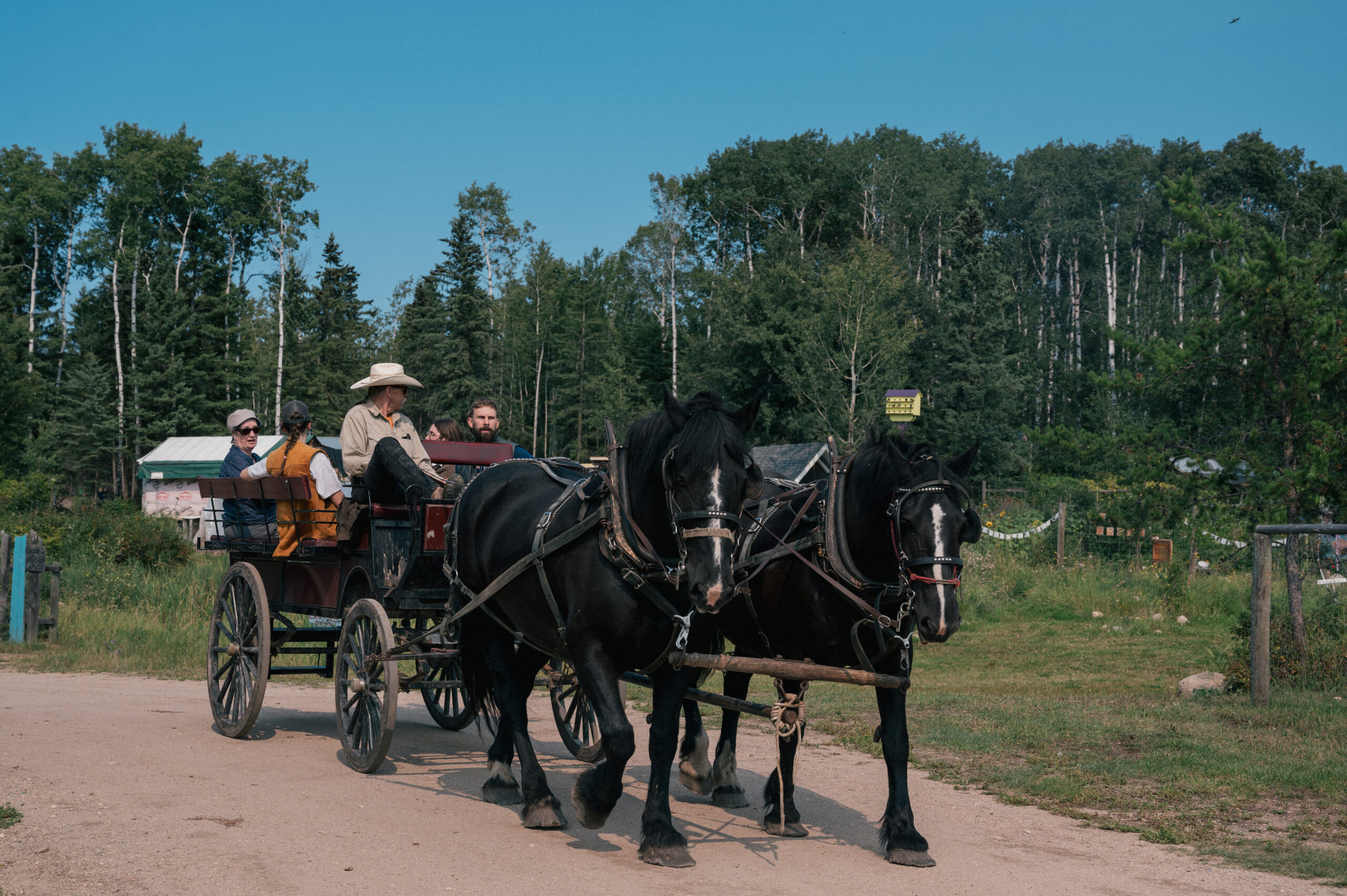 Horse drawn wagon rides were a highlight for many